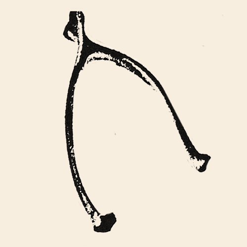 Conan Gray – Official Store – Shop Exclusive Music & Merch