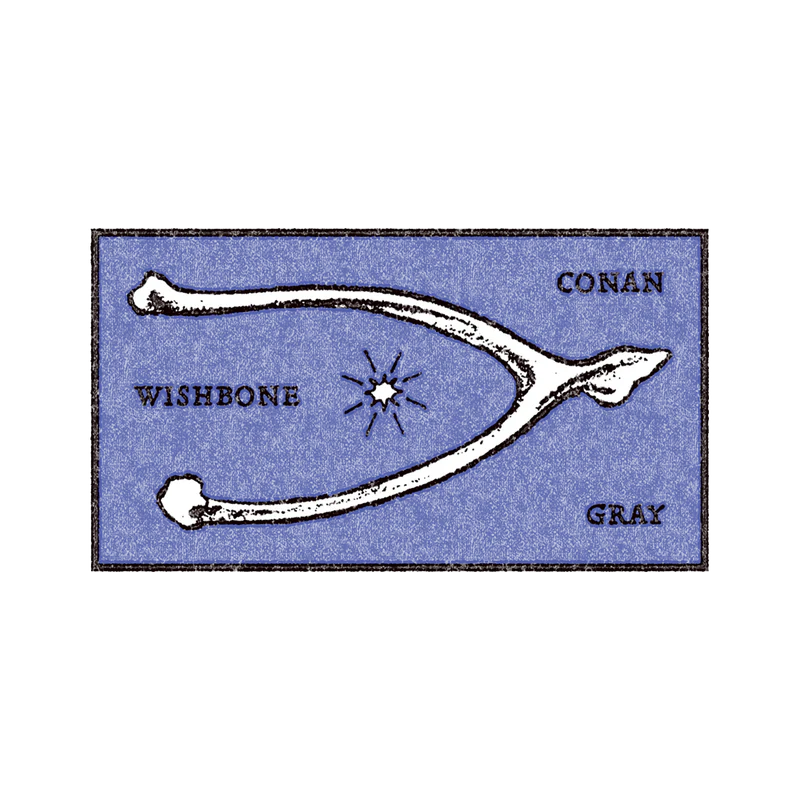 Conan Gray - Conan Gray Wishbone Navy Hoodie